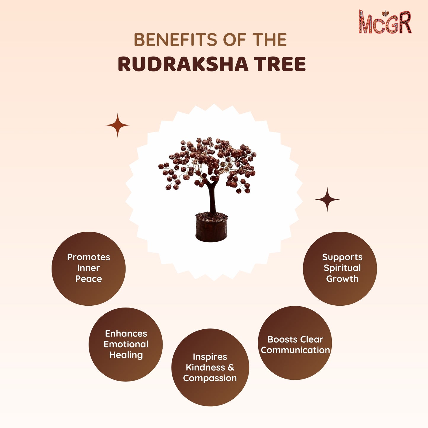 MCGR Rudraksha Tree/Protects from Negative Energy/Attracts Wealth Brown