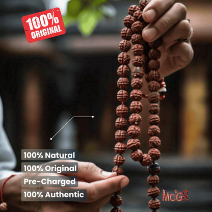 MCGR 108 Beads Rudraksha Natural Seed Prayer Beads