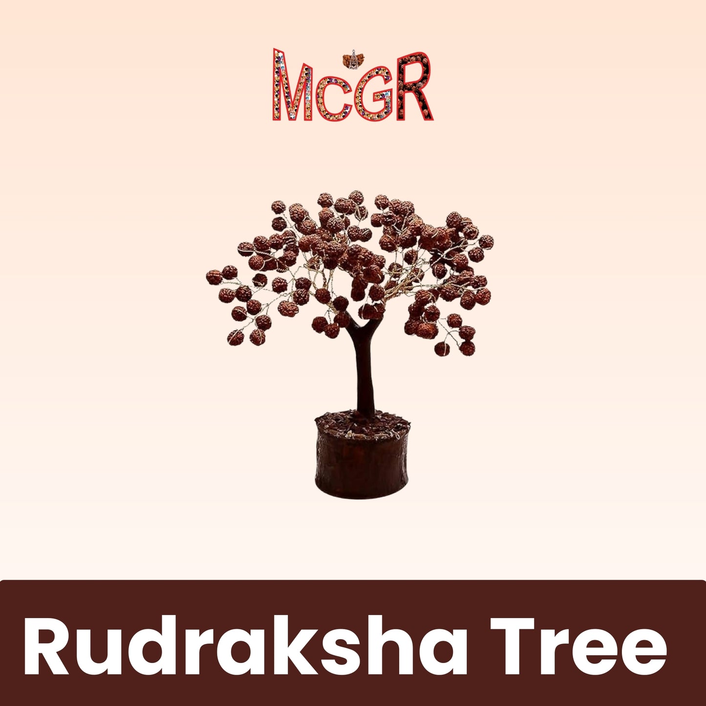 MCGR Rudraksha Tree/Protects from Negative Energy/Attracts Wealth Brown