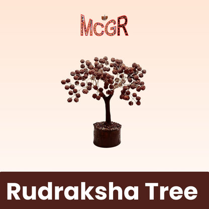 MCGR Rudraksha Tree/Protects from Negative Energy/Attracts Wealth Brown