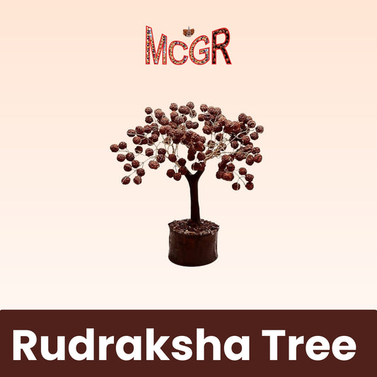 MCGR Rudraksha Tree/Protects from Negative Energy/Attracts Wealth Brown