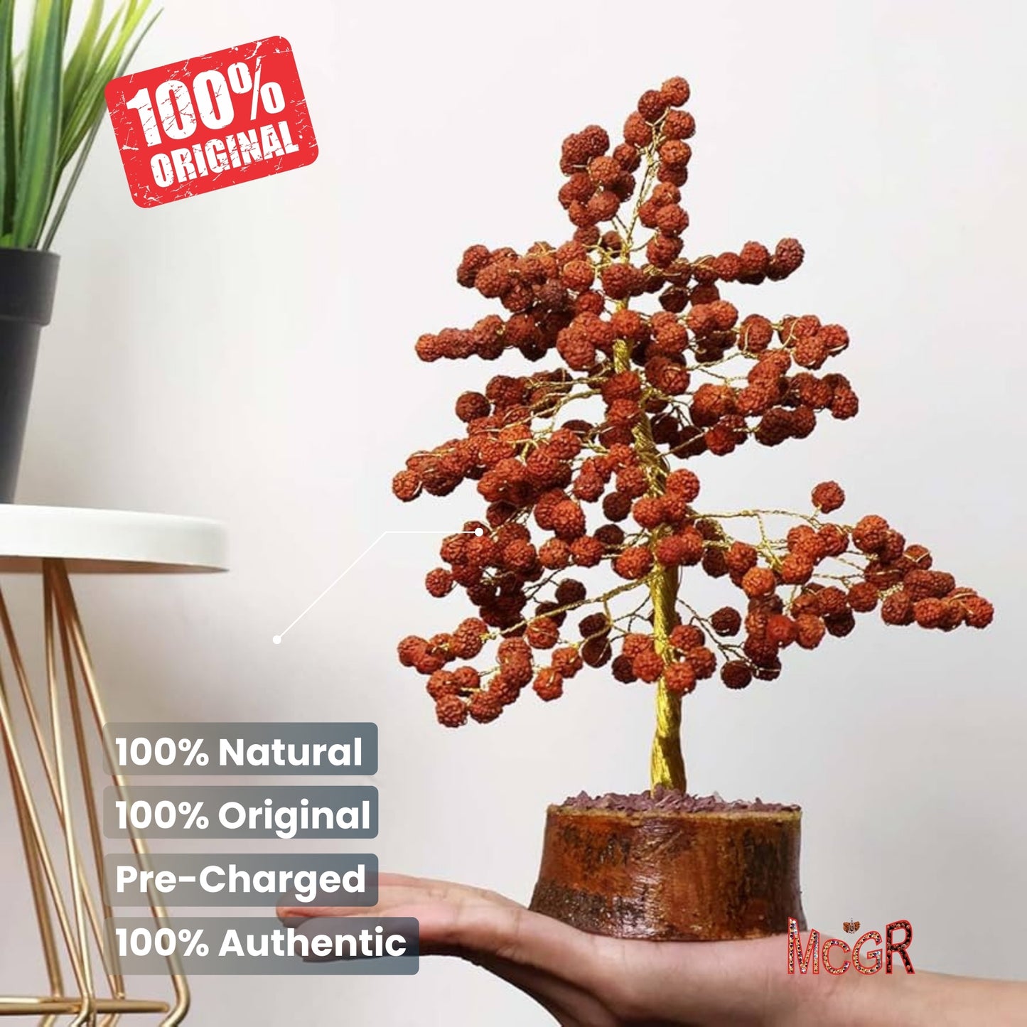 MCGR Rudraksha Tree/Protects from Negative Energy/Attracts Wealth Brown