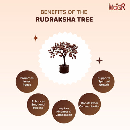 MCGR Rudraksha Tree/Protects from Negative Energy/Attracts Wealth Brown